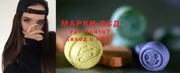 сатива Аркадак