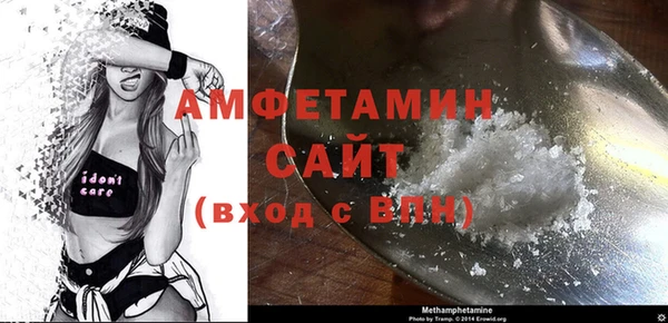 сатива Аркадак