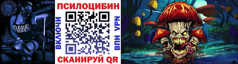 Псилоцибиновые грибы Cubensis  Сретенск 